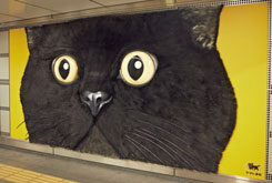 渋谷駅に巨大なモフモフ猫ポスター出現　ヤマト運輸の新商品告知キャンペーン