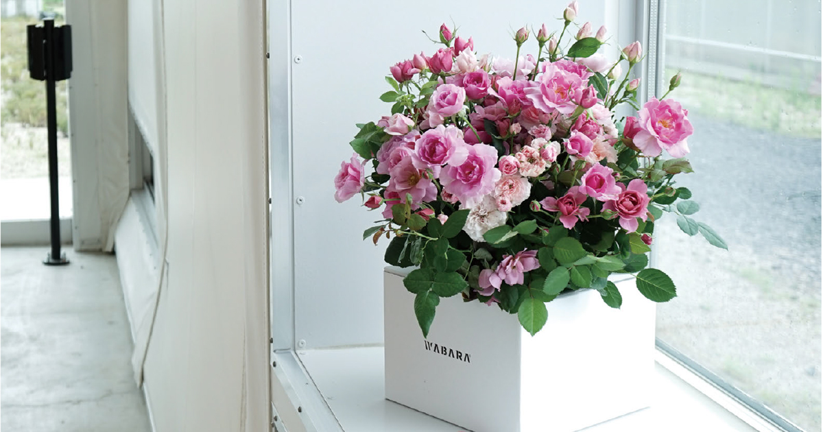 「WABARA」 日本のバラを世界に向けてブランド化したい